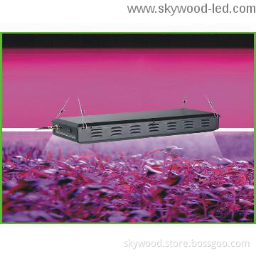 350w Intelligent grow light,Human software design,networking